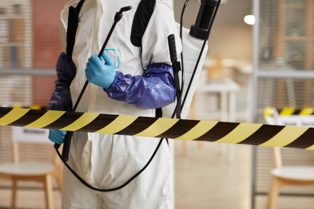 Professional Sewage Cleanup technician working in Seville, FL